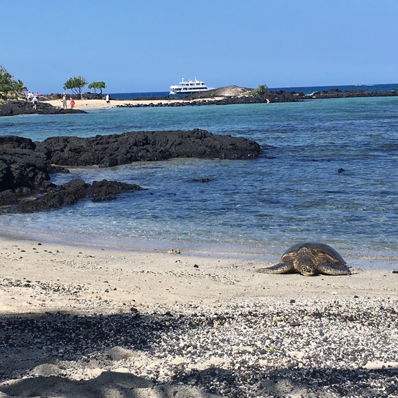 Meet your Posher, Melanie - Picture 1 of 1